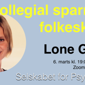 Kollegial sparring i folkeskolen v. Lone Graae