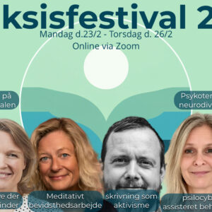 Praksisfestival 2026